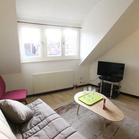 Colmar Historic Center - Cosy Appartement Turenne 2 - Bookingalsace Экстерьер фото
