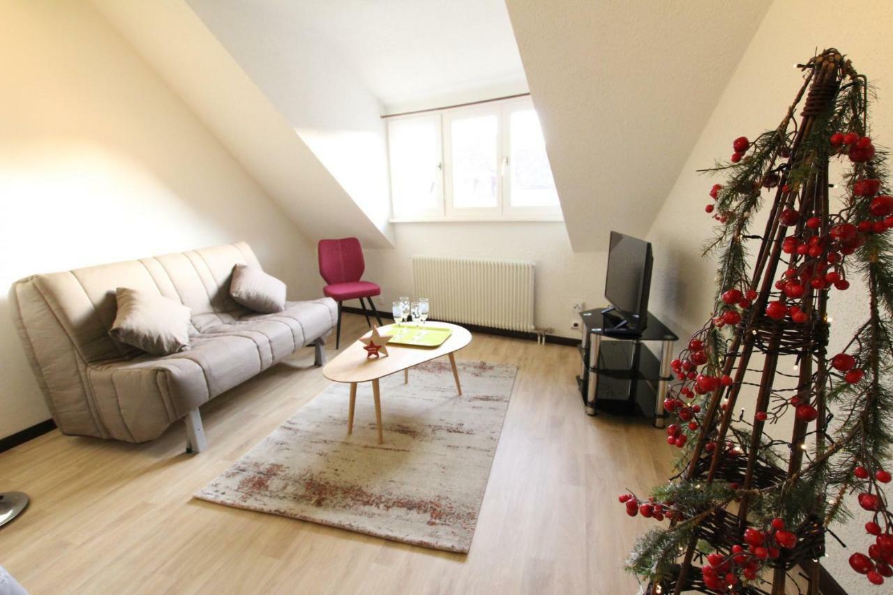 Colmar Historic Center - Cosy Appartement Turenne 2 - Bookingalsace Экстерьер фото